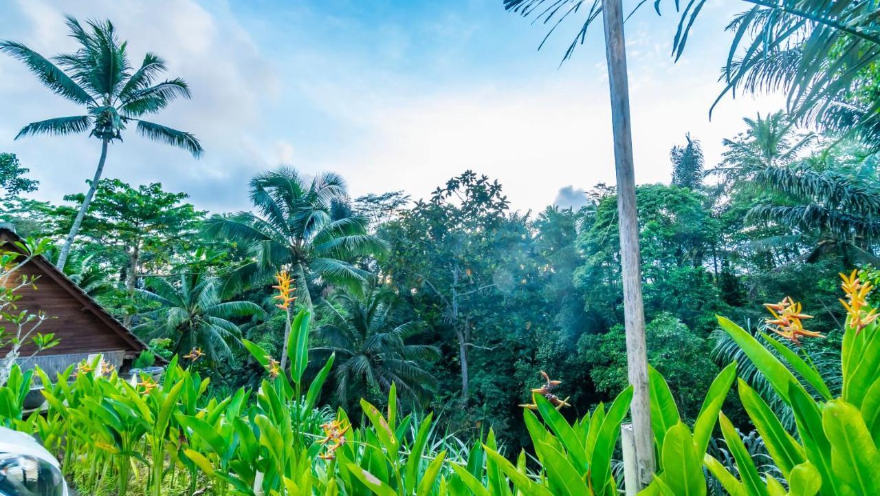 Iyume Villas Tegallalang  Buitenkant foto